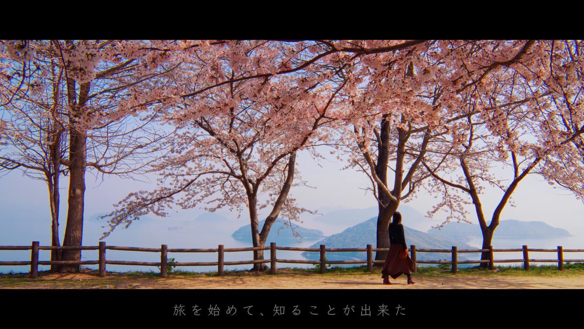 島の浮かぶ海を見下ろす桜並木を歩く後ろ姿