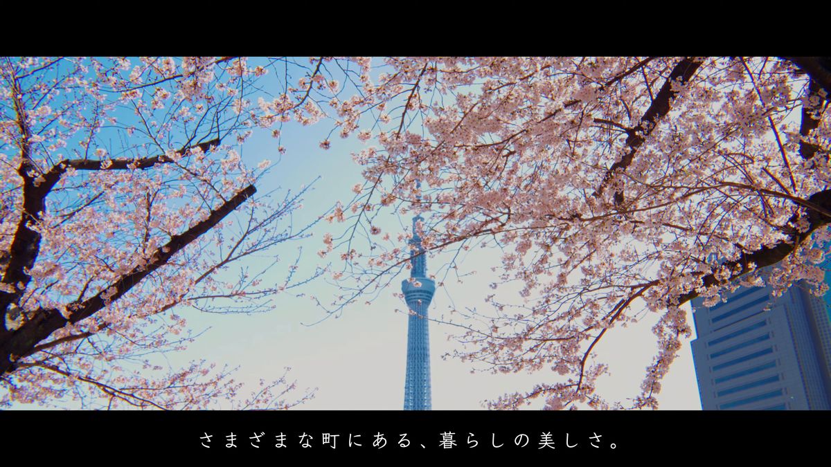 桜の枝の向こうに見上げる、高い電波塔