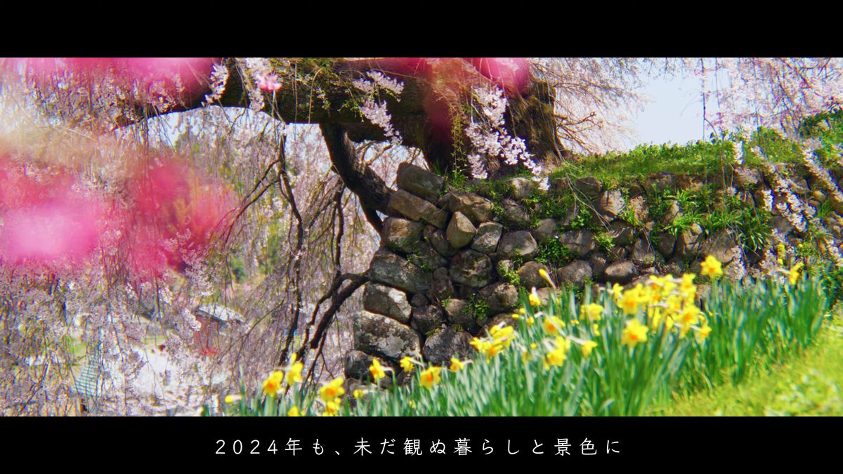 石垣のそばに咲く桃色の花と水仙