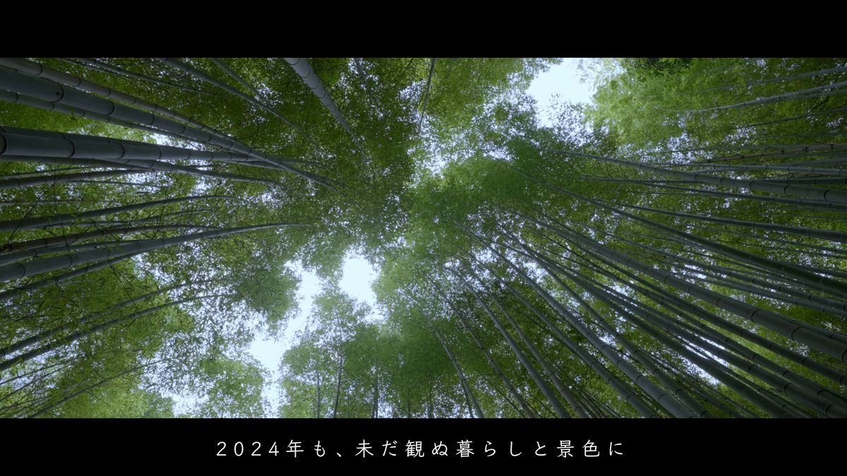 空に向かって伸びる竹林