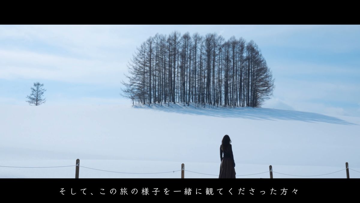 雪原にぽつんと立つ木立と人影