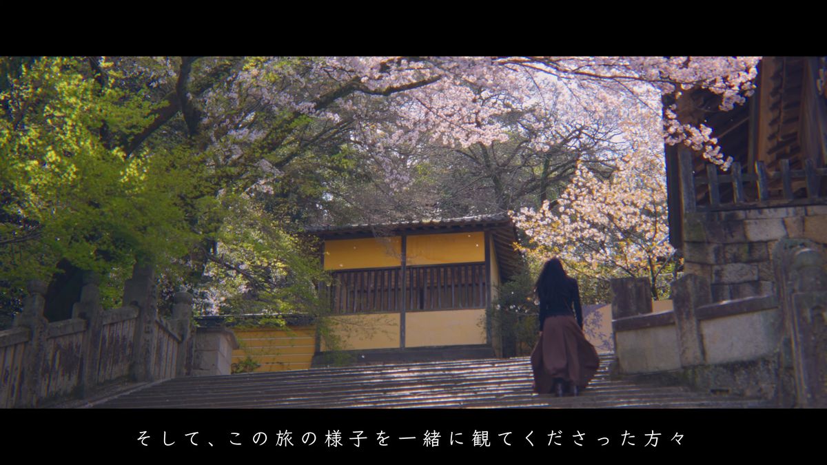 桜の咲く石段を上る後ろ姿