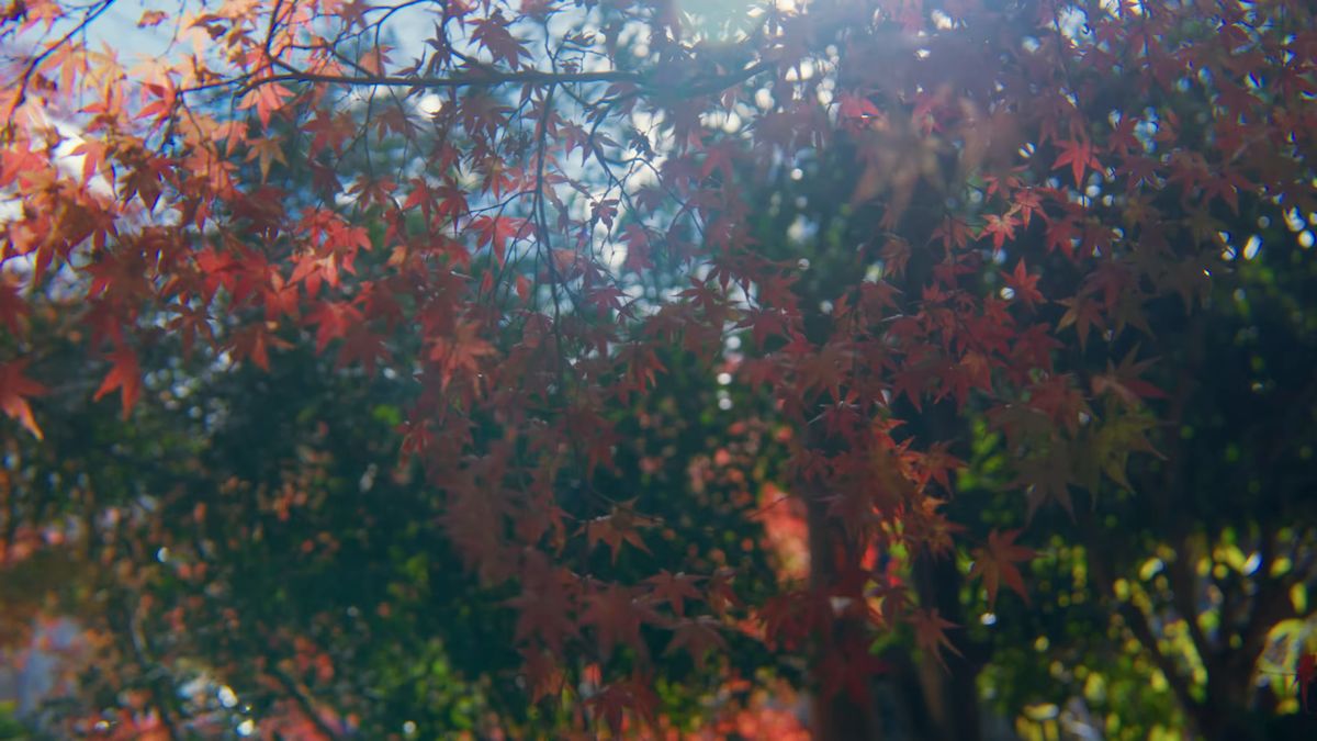 日に透ける、残りの紅葉