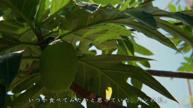 Breadfruit