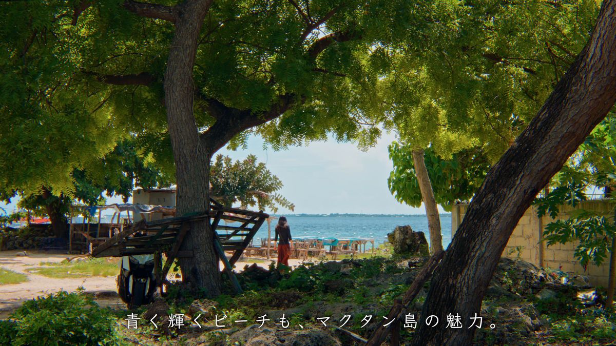 木陰の向こうに広がる海