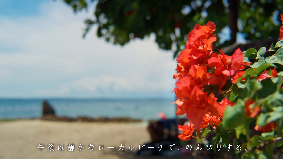 海を背に咲く赤いブーゲンビリア
