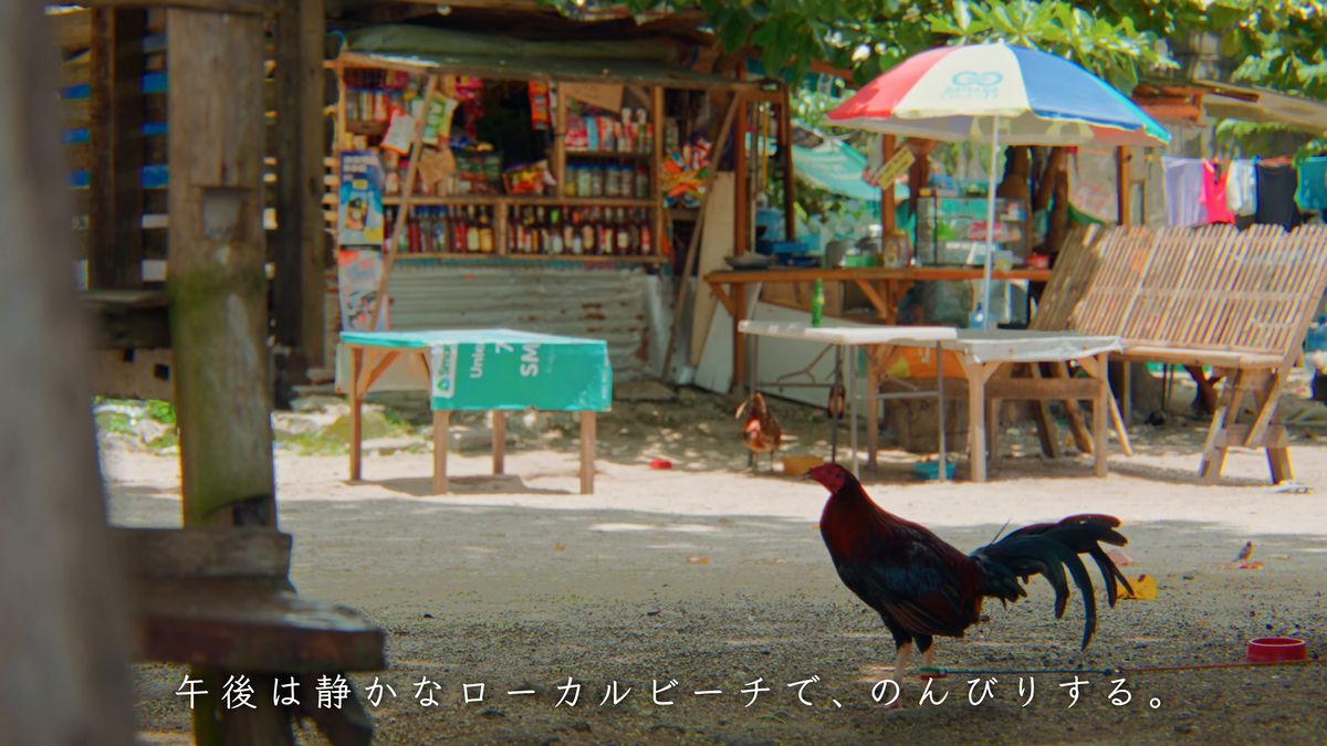 浜の売店の前を歩くニワトリ