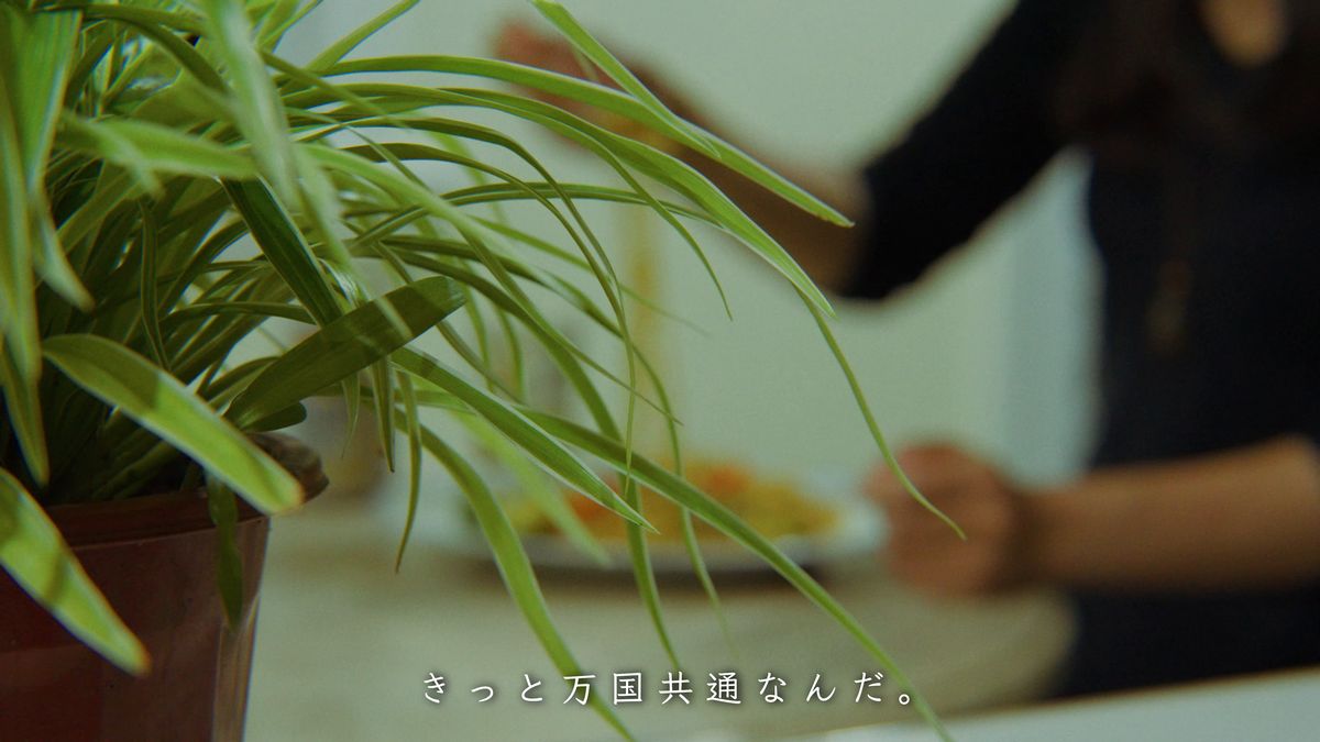 観葉植物越しの夜の食卓