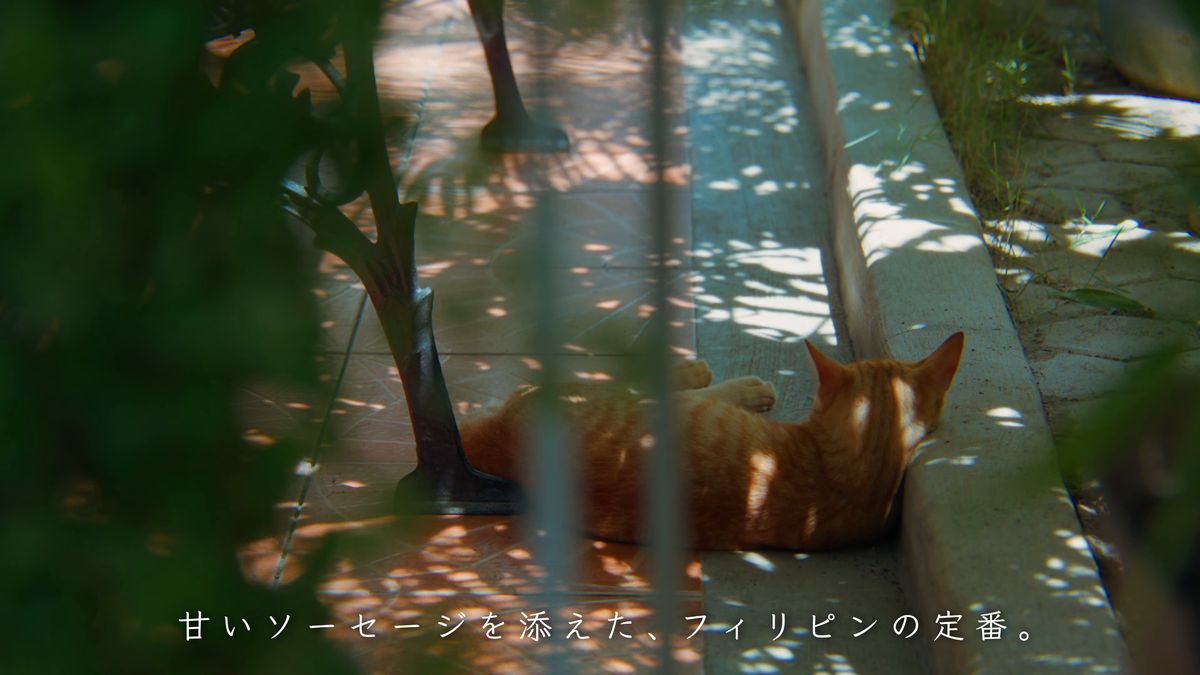 木漏れ日の中で寝そべる茶トラの猫