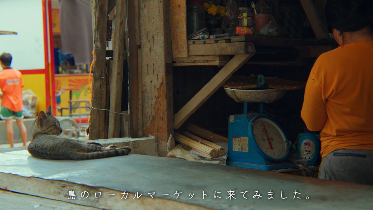 秤の脇で眠る虎猫