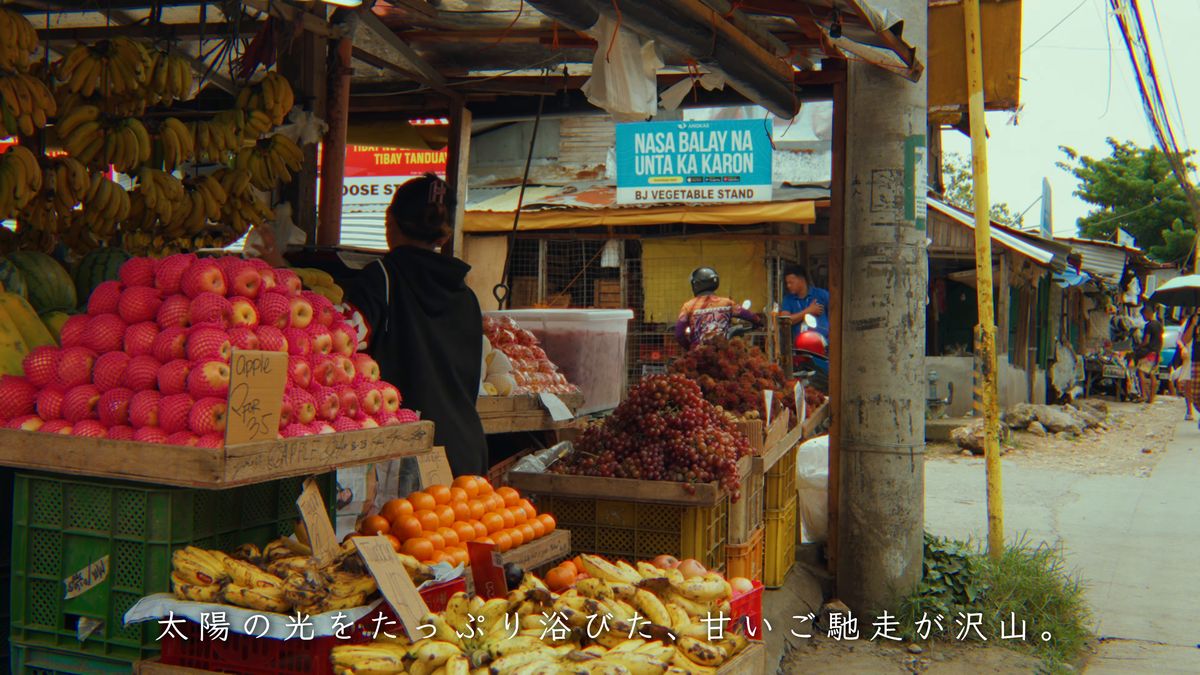 網をかぶったリンゴやぶどう、オレンジの屋台