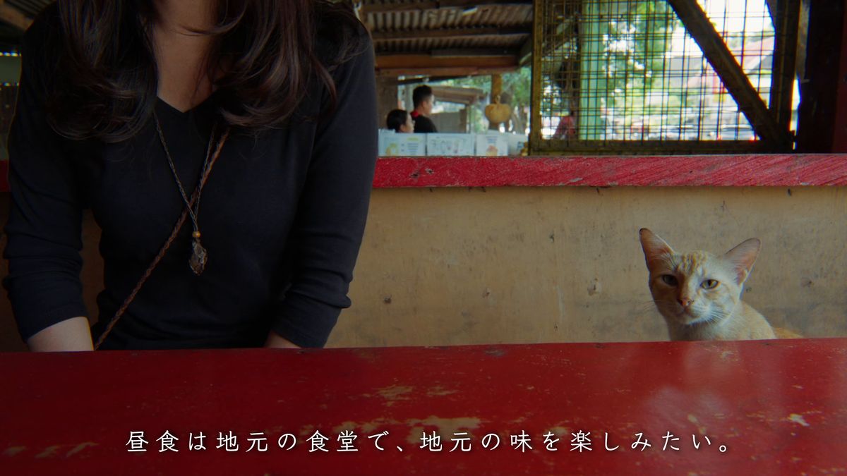 赤いテーブルの向こうから顔を出す猫