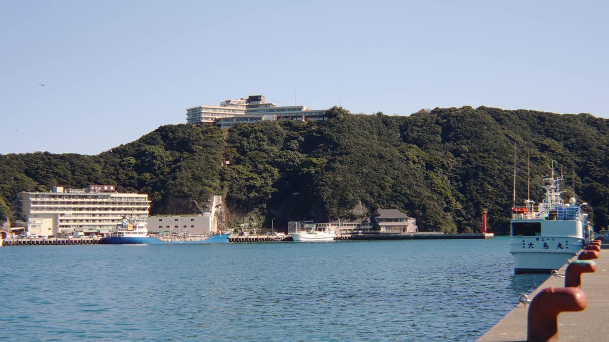 崖の上に立つ建物と、港に並ぶ漁船