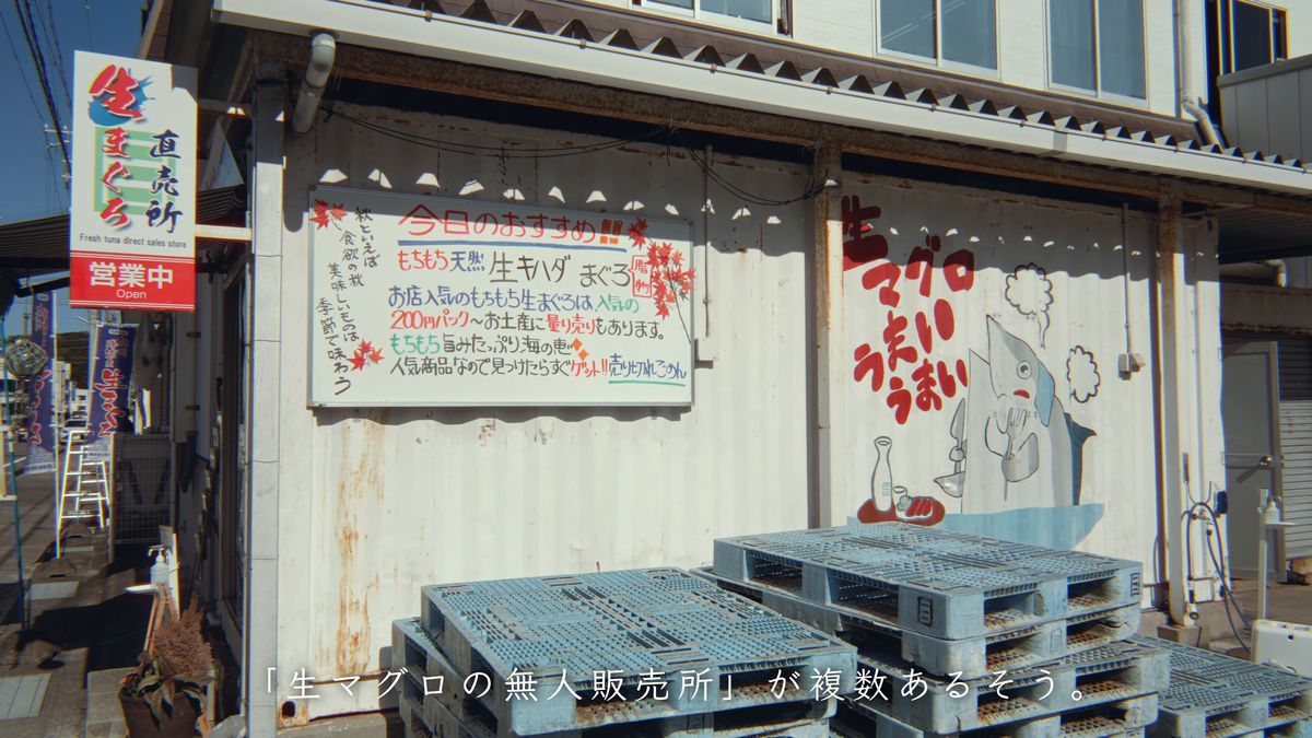 生まぐろ直売所の壁に掛かる「今日のおすすめ」の板