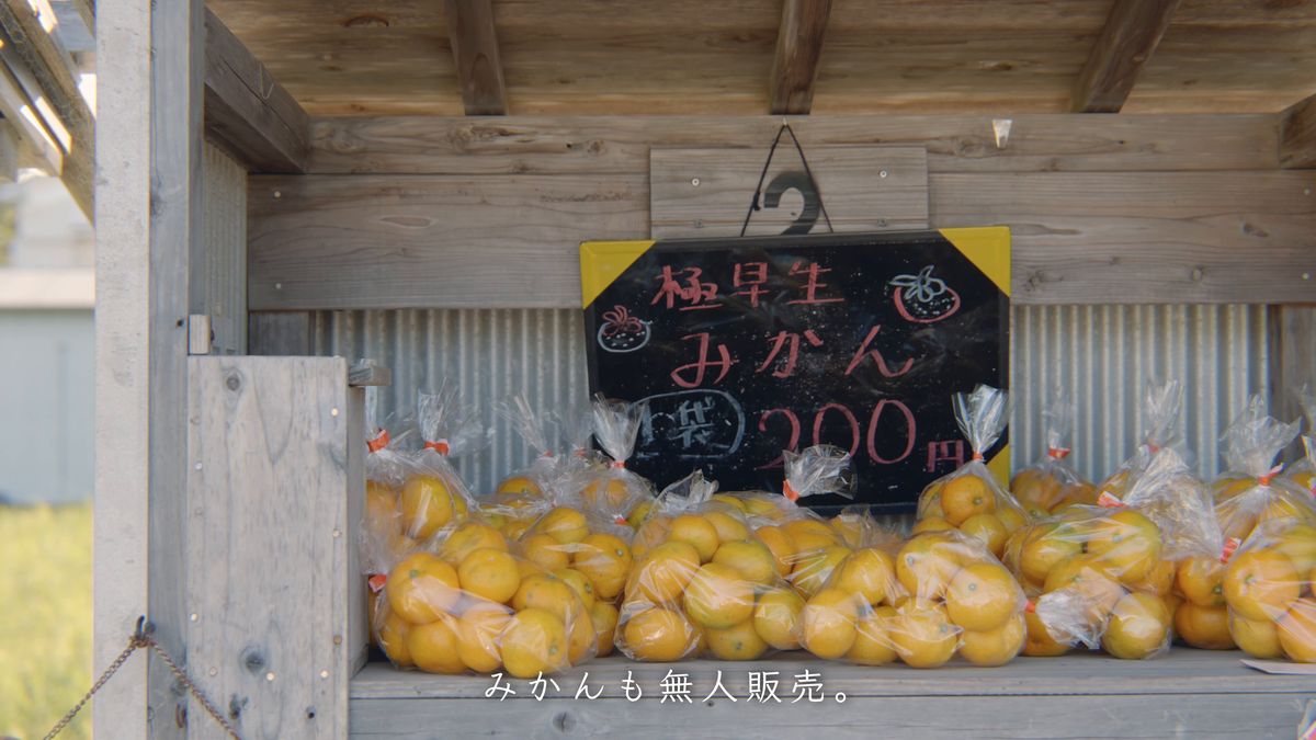 「極早生みかん」の黒板と袋詰めのみかん