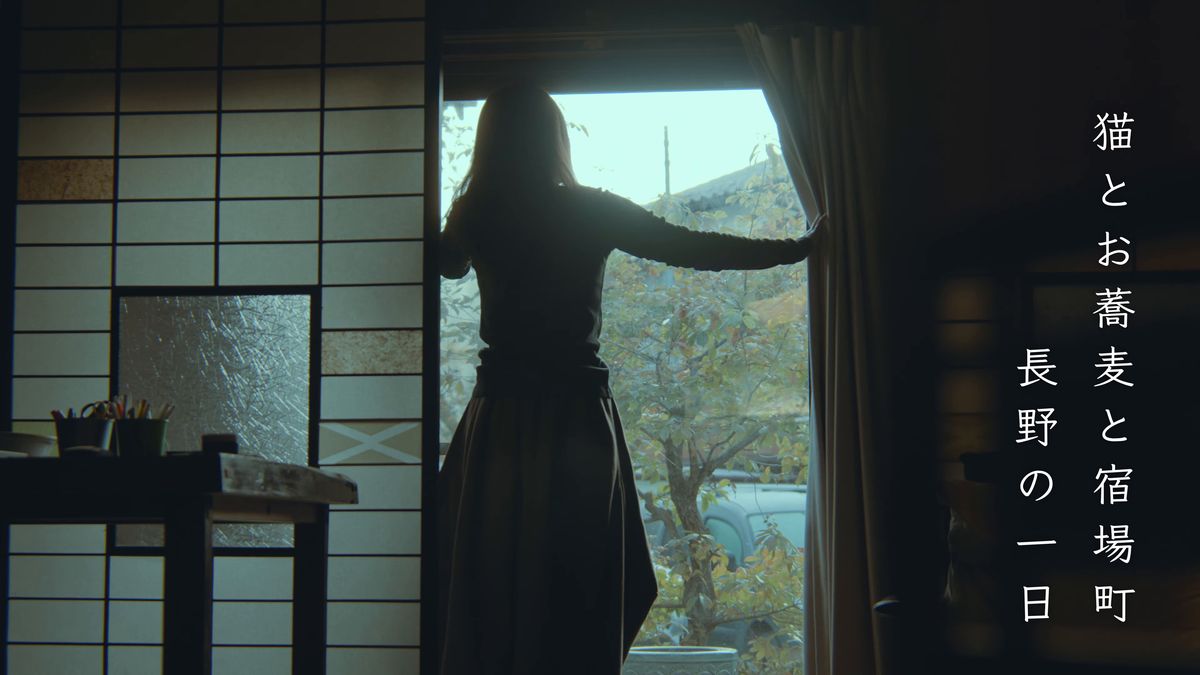 窓辺でカーテンを開ける後ろ姿