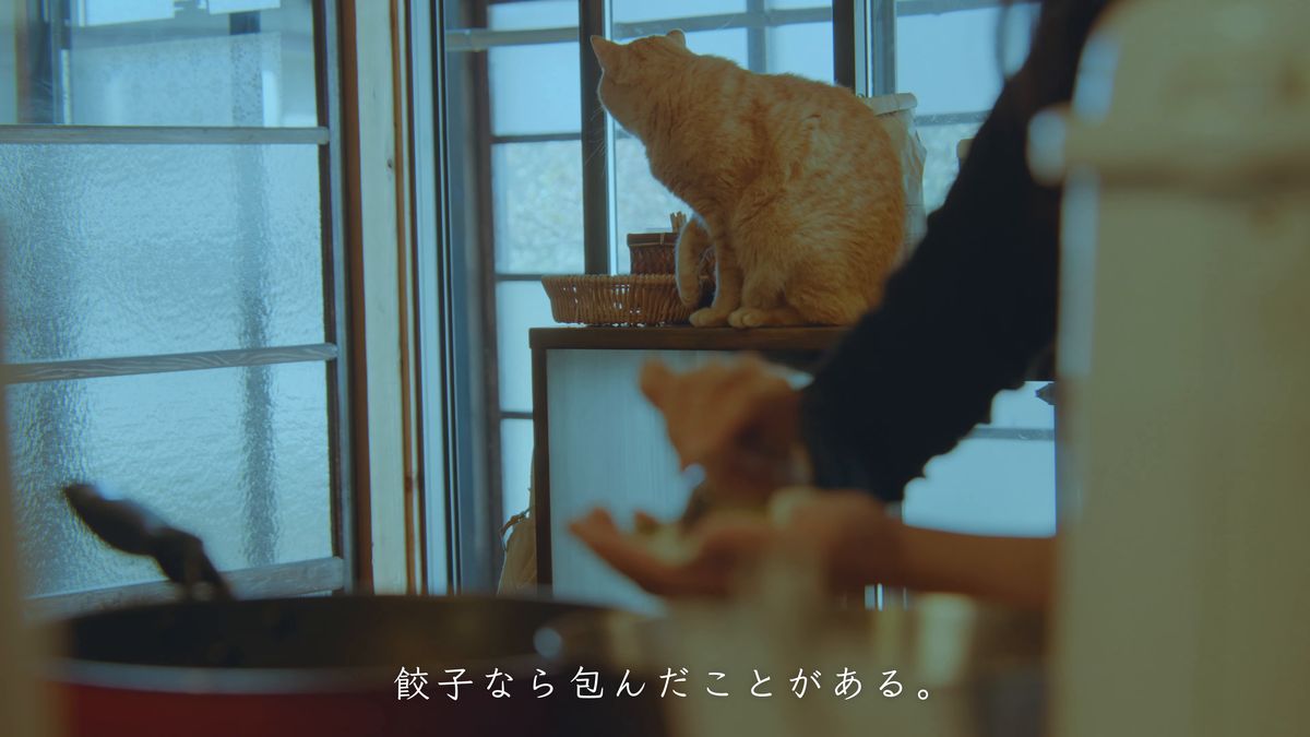 窓辺の猫と、生地を包む手元