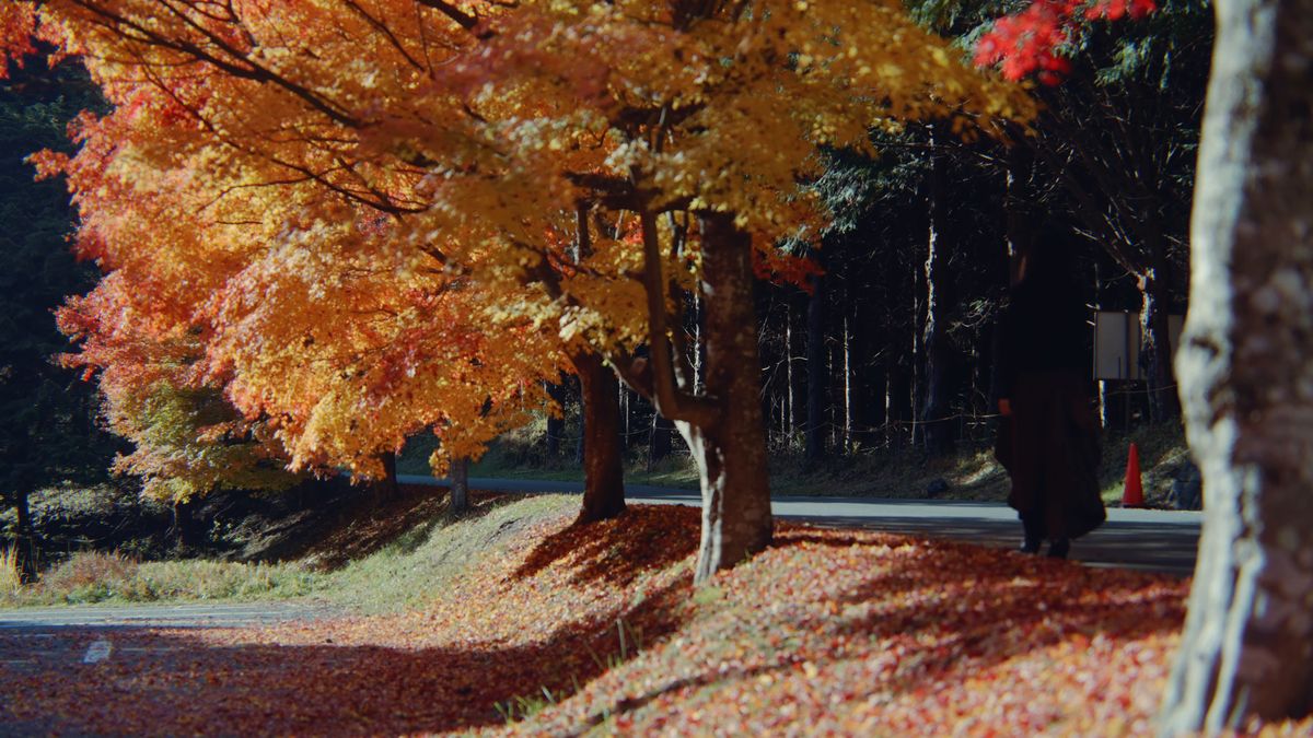 紅葉の木の下の道を歩く後ろ姿