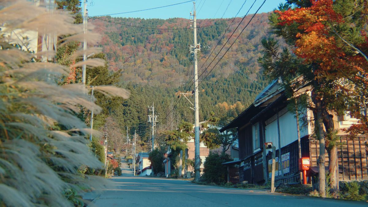 ススキが揺れる夕方の村の通り