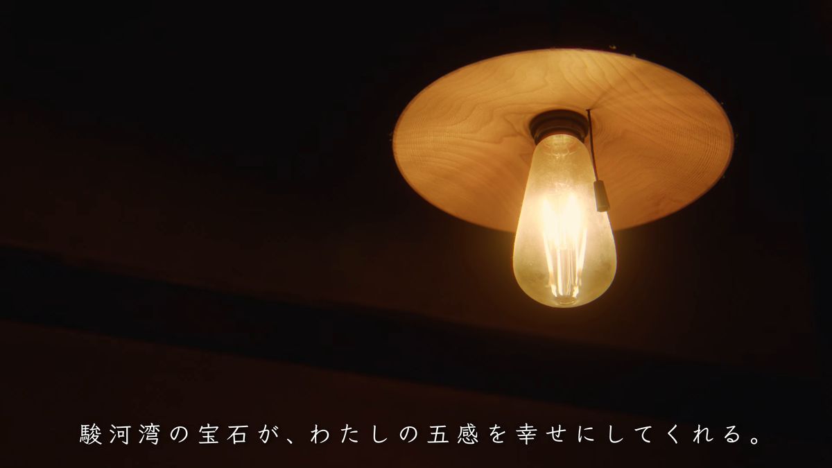 木の笠の電球