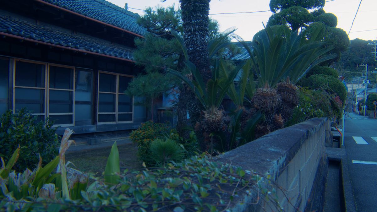 朝の古民家の外観と庭木