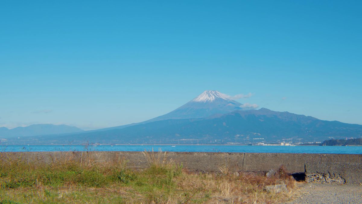 朝の駿河湾と雪をかぶった富士山