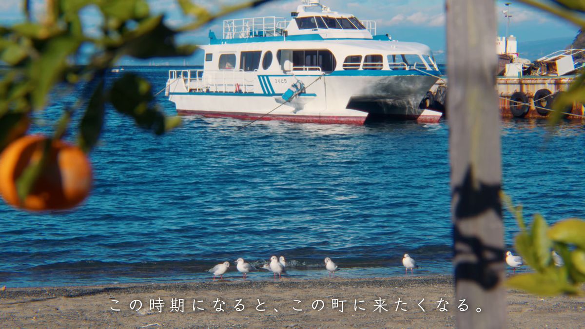みかんの枝越しに見える白い船と、岸辺に並ぶカモメ