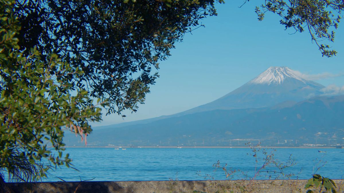 木の枝越しに見える富士山と駿河湾