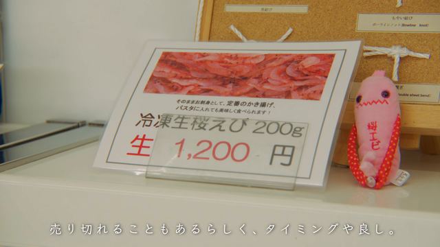 Sakura shrimp of Suruga Bay