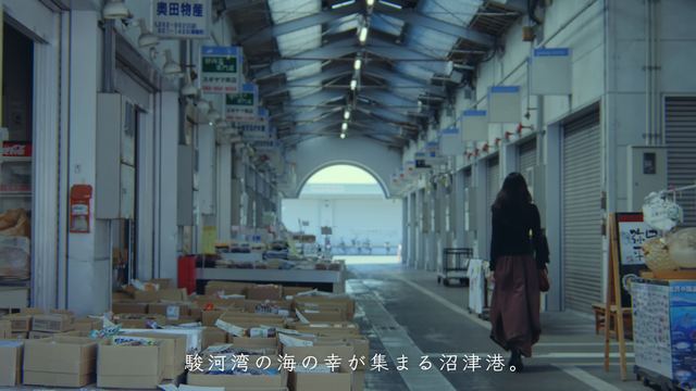 Numazu Port