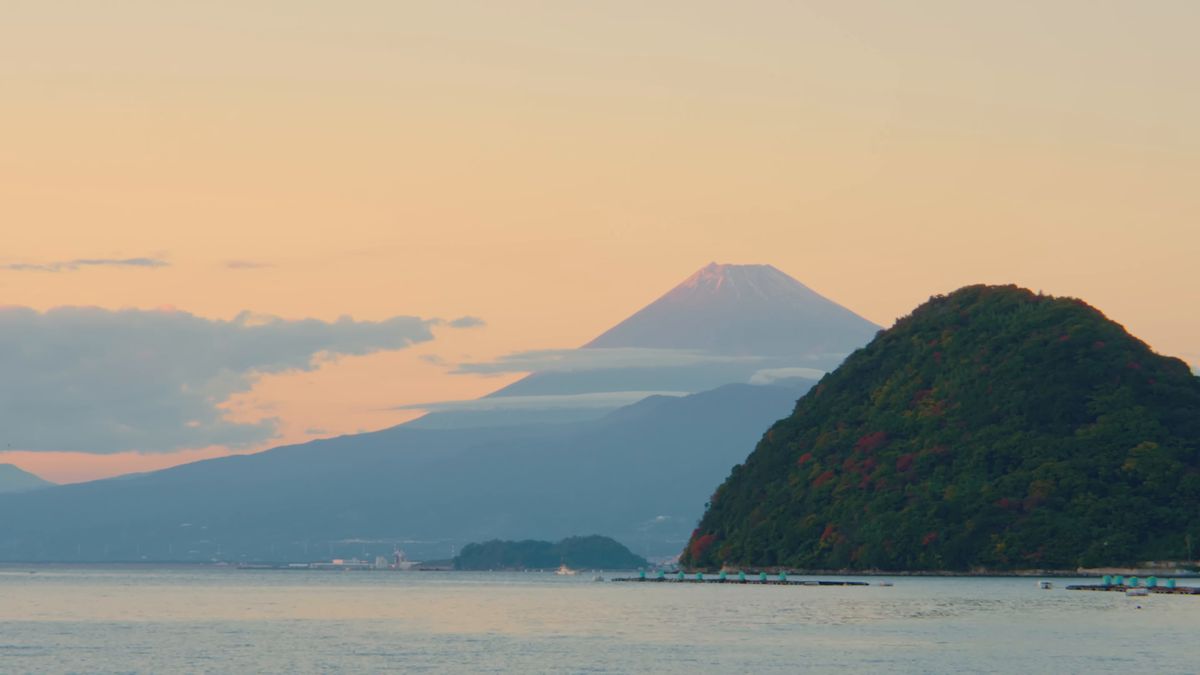 駿河湾