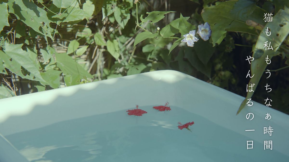 Red petals floating in the garden bath