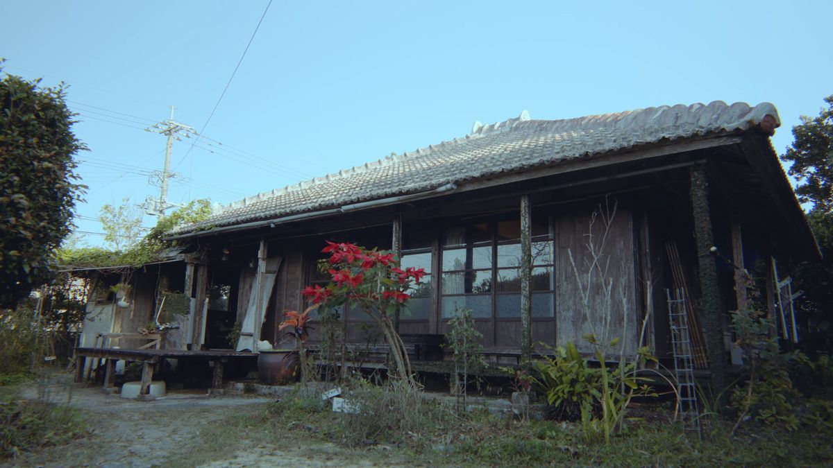 An old house inn with resident cats