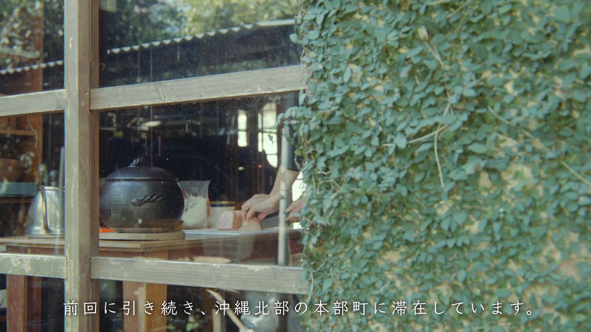 The kitchen window seen past an ivy-covered wall