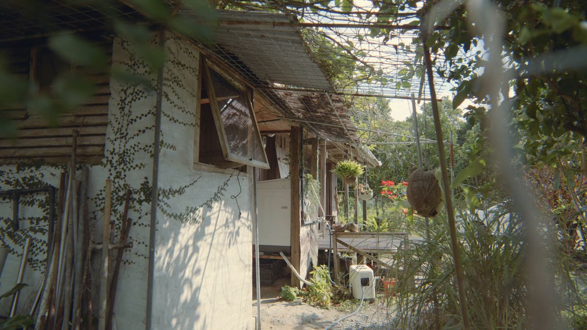 The side of the house seen from the garden of fruit trees and herbs