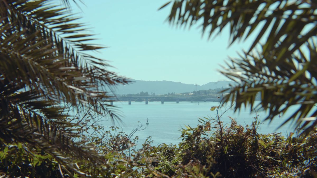The sea and a distant bridge seen through palm fronds