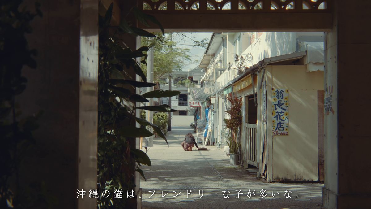 A small shop at the end of a market alley