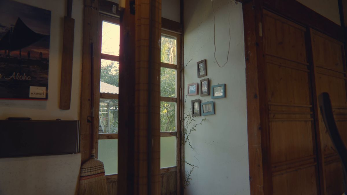A wall hung with photographs and pictures, and a window onto the garden
