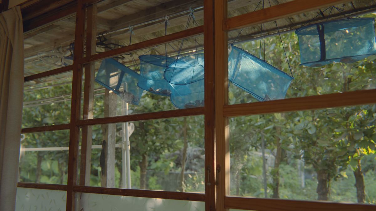 Blue mesh baskets hanging outside the window