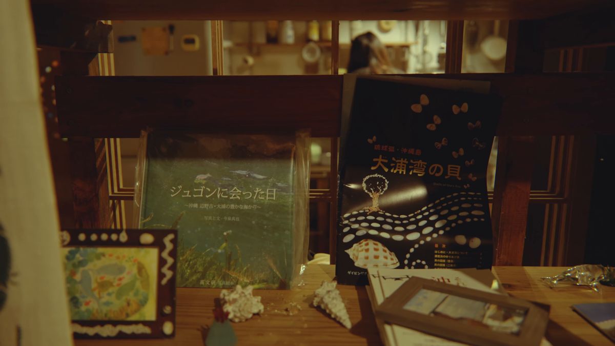 A shelf of books and posters about sea creatures