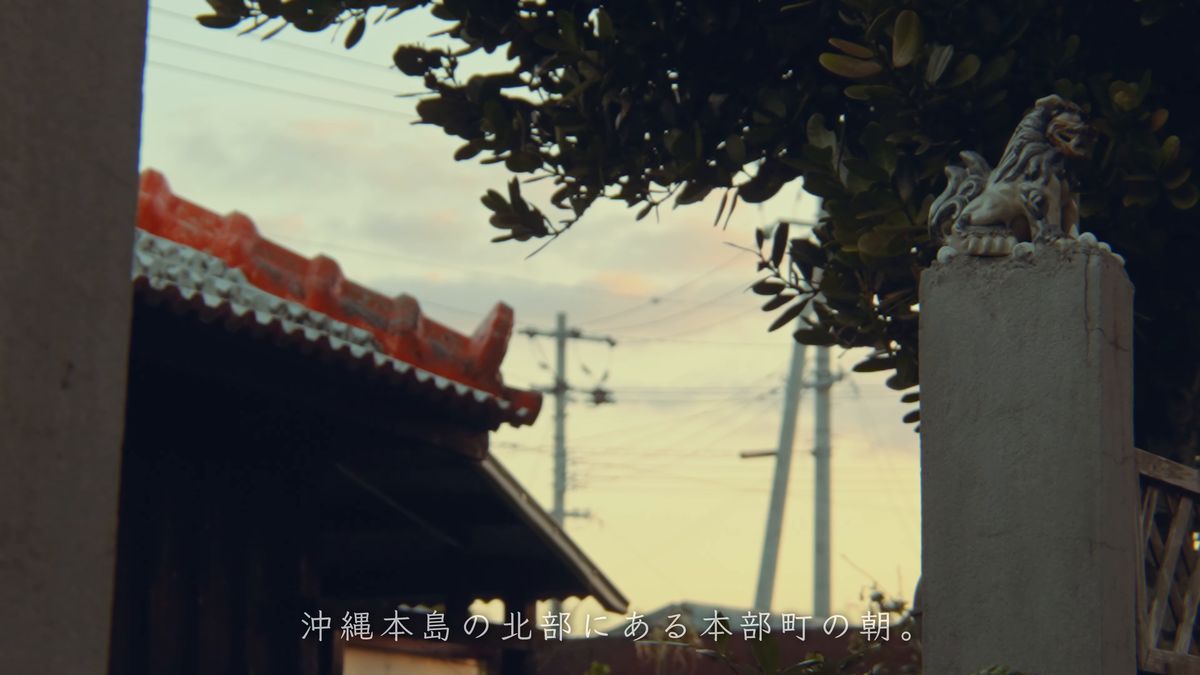 赤瓦の屋根のシーサーと朝焼けの空