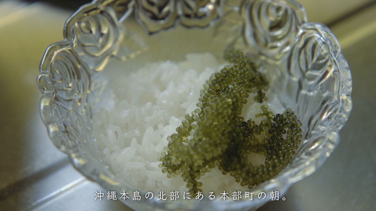 ガラスの器に盛ったご飯と海ぶどう