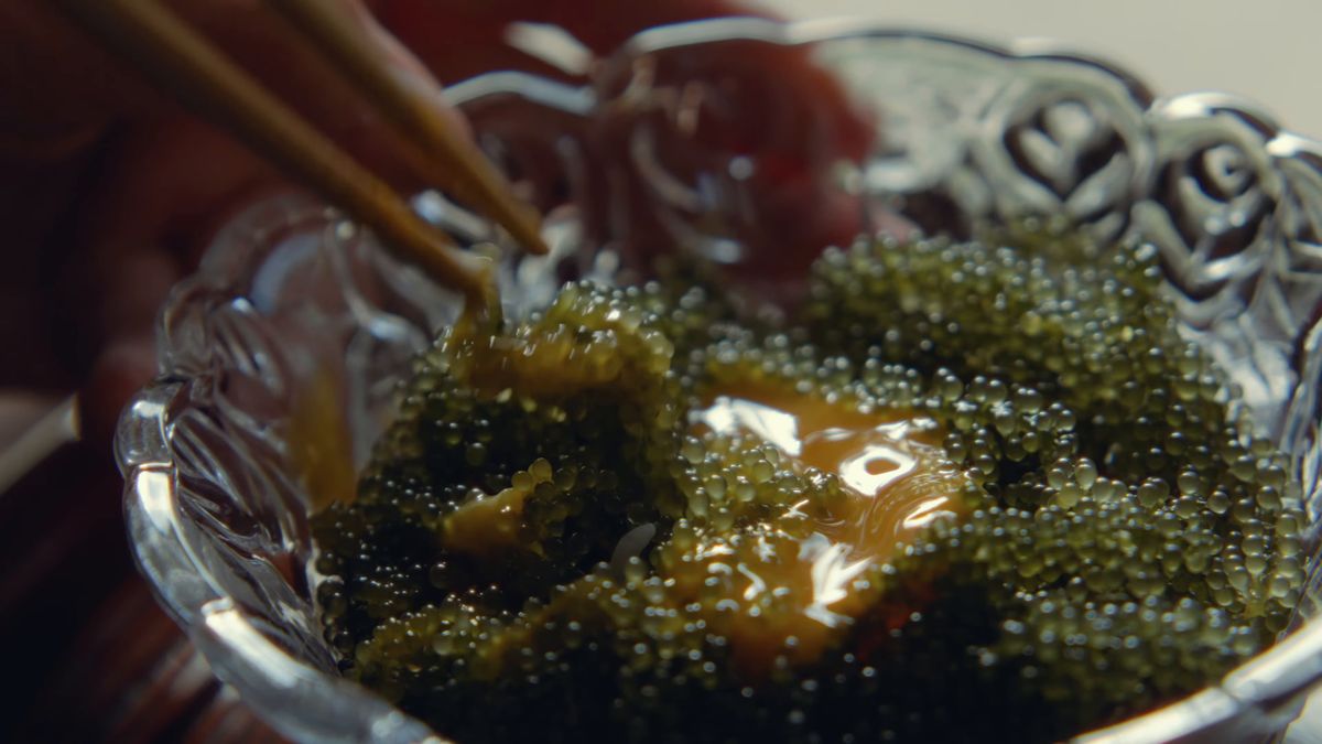 卵黄をからめた海ぶどうを箸で持ち上げる