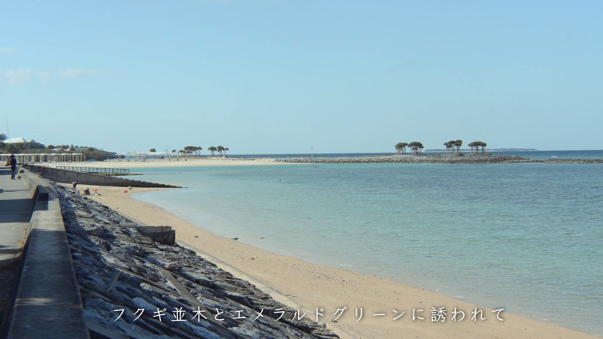 白い砂浜と遠浅のエメラルドグリーンの海