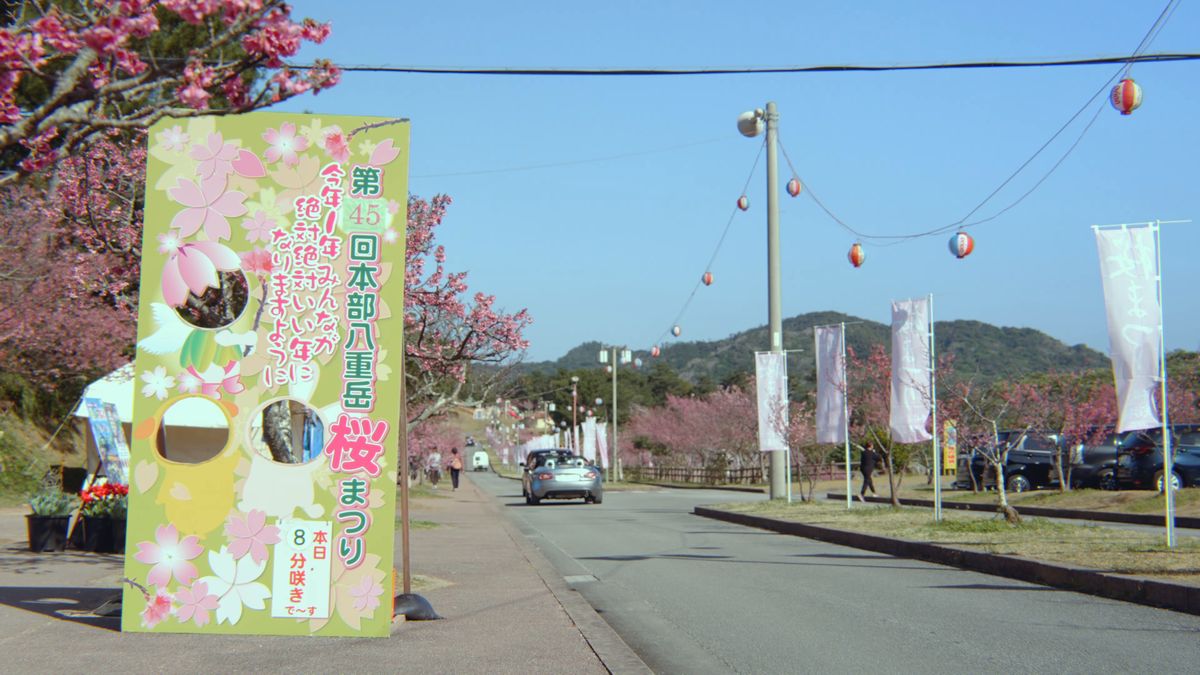 桜まつりの顔出し看板と提灯の渡された道