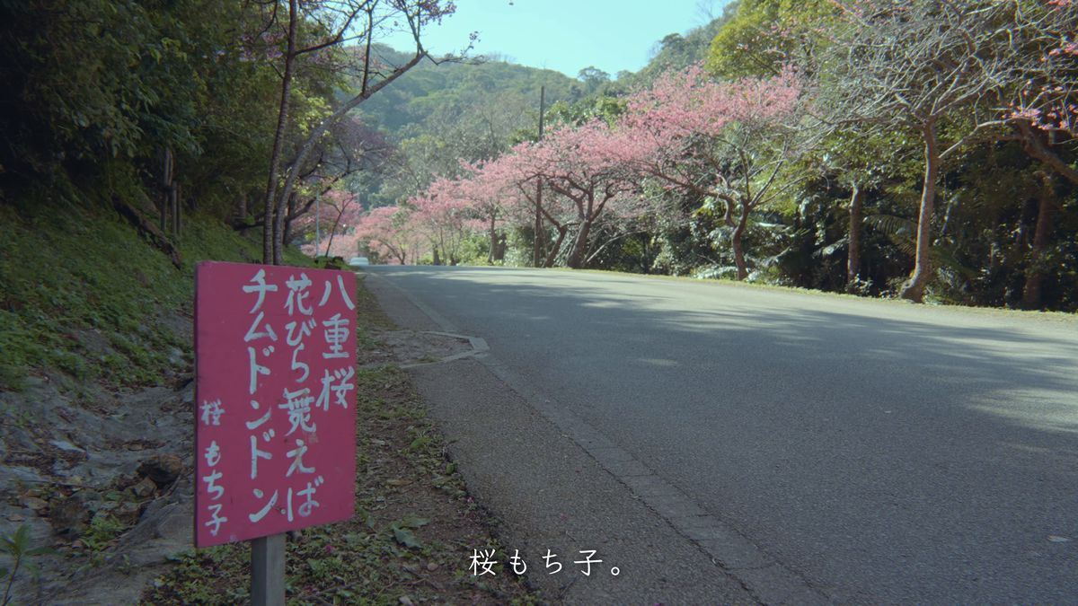 「チムドンドン」と書かれた道端のピンクの看板