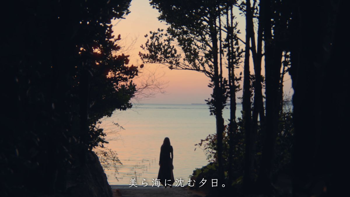 木々の間から夕日を見送る人影