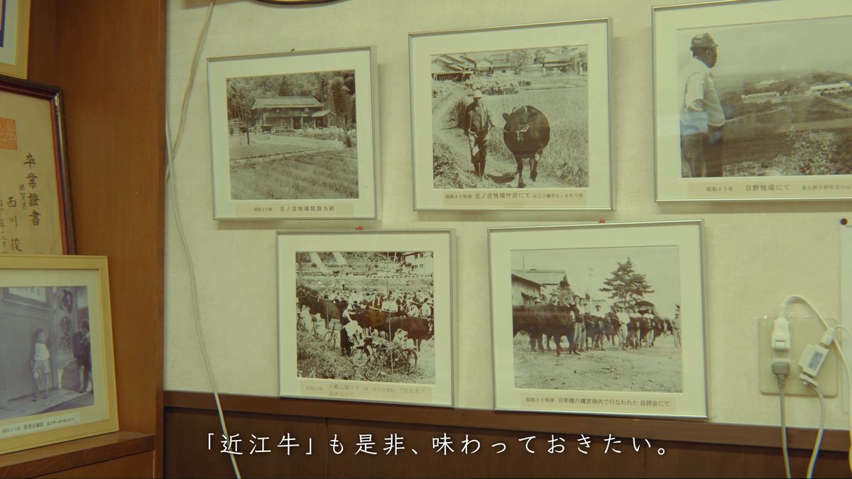 牛を引く人や放牧の風景を写した古い写真が並ぶ壁