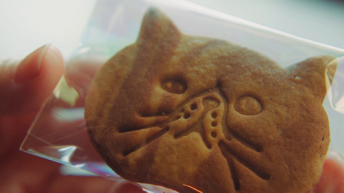 袋に入った猫の顔の形のクッキーの寄り