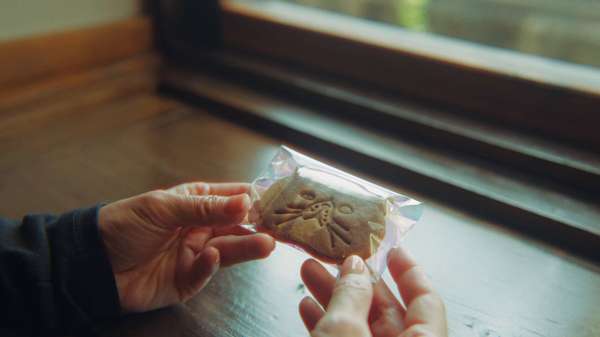 猫のクッキーの袋を両手で持つ